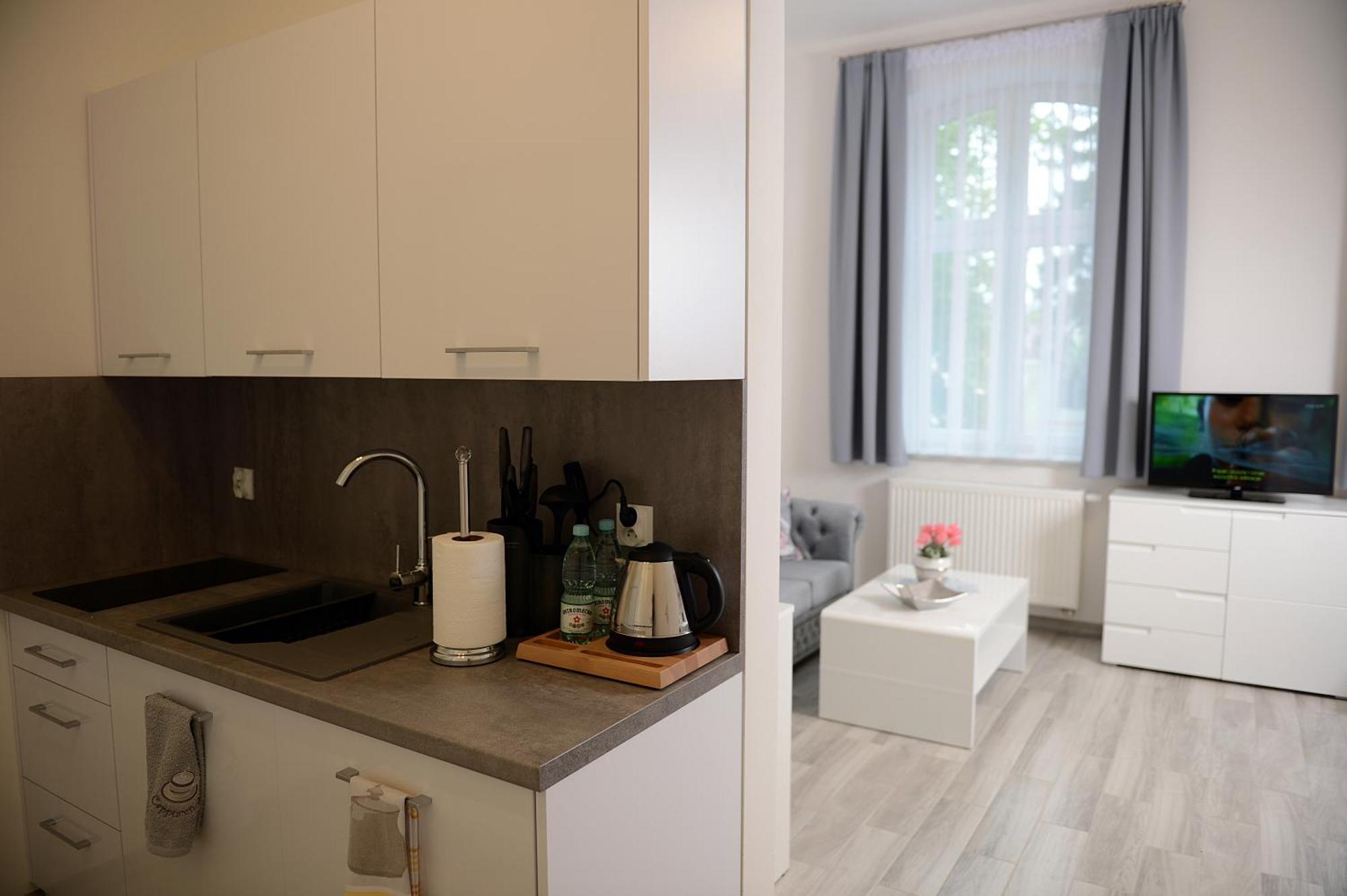 Rezydencja Mysliwska - Apartamenty コシャリン エクステリア 写真